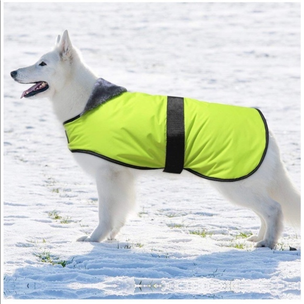 Domi Dog Waterproof Winter Coat Green